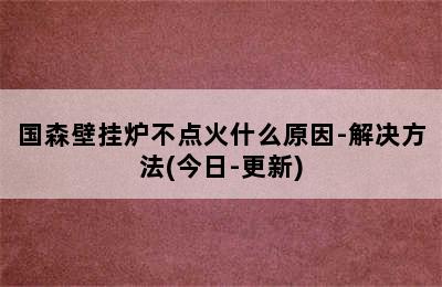 国森壁挂炉不点火什么原因-解决方法(今日-更新)