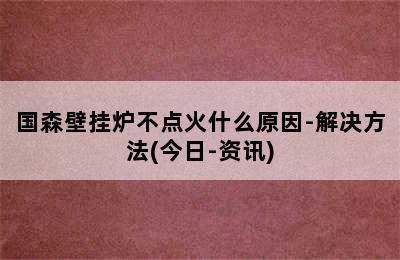 国森壁挂炉不点火什么原因-解决方法(今日-资讯)