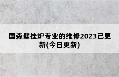 国森壁挂炉专业的维修2023已更新(今日更新)