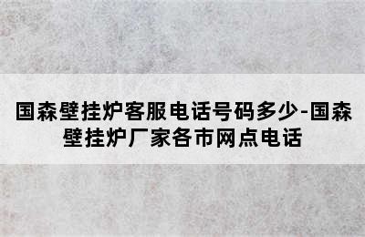 国森壁挂炉客服电话号码多少-国森壁挂炉厂家各市网点电话