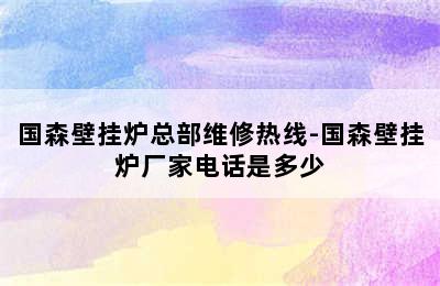 国森壁挂炉总部维修热线-国森壁挂炉厂家电话是多少