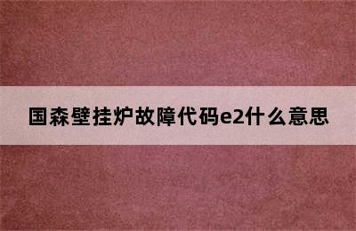 国森壁挂炉故障代码e2什么意思