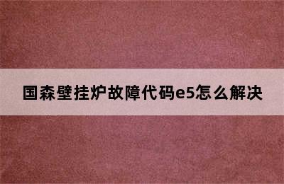 国森壁挂炉故障代码e5怎么解决