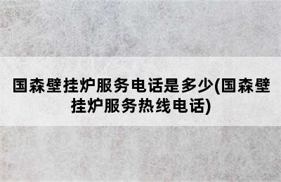 国森壁挂炉服务电话是多少(国森壁挂炉服务热线电话)