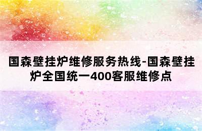 国森壁挂炉维修服务热线-国森壁挂炉全国统一400客服维修点