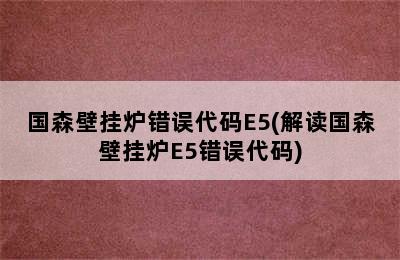 国森壁挂炉错误代码E5(解读国森壁挂炉E5错误代码)