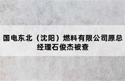 国电东北（沈阳）燃料有限公司原总经理石俊杰被查