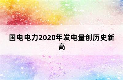 国电电力2020年发电量创历史新高