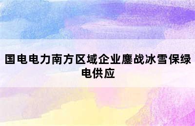 国电电力南方区域企业鏖战冰雪保绿电供应