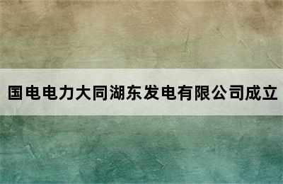 国电电力大同湖东发电有限公司成立