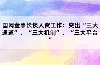 国网董事长谈人资工作：突出“三大通道”、“三大机制”、“三大平台”