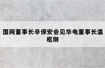 国网董事长辛保安会见华电董事长温枢刚