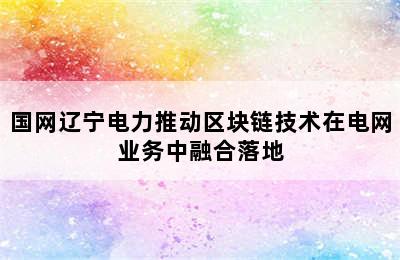 国网辽宁电力推动区块链技术在电网业务中融合落地