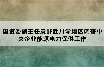 国资委副主任袁野赴川渝地区调研中央企业能源电力保供工作