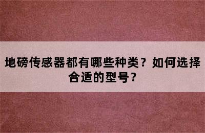 地磅传感器都有哪些种类？如何选择合适的型号？