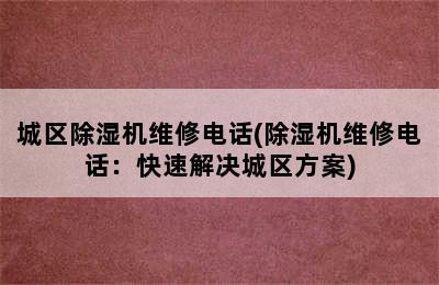 城区除湿机维修电话(除湿机维修电话：快速解决城区方案)