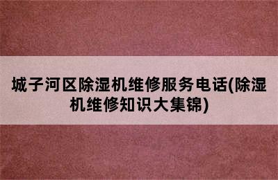 城子河区除湿机维修服务电话(除湿机维修知识大集锦)