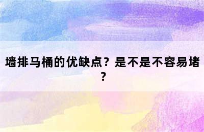 墙排马桶的优缺点？是不是不容易堵？