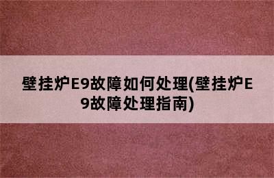 壁挂炉E9故障如何处理(壁挂炉E9故障处理指南)