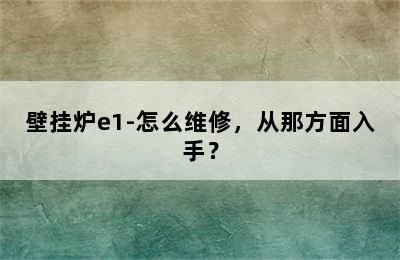 壁挂炉e1-怎么维修，从那方面入手？