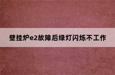 壁挂炉e2故障后绿灯闪烁不工作