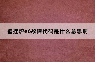 壁挂炉e6故障代码是什么意思啊