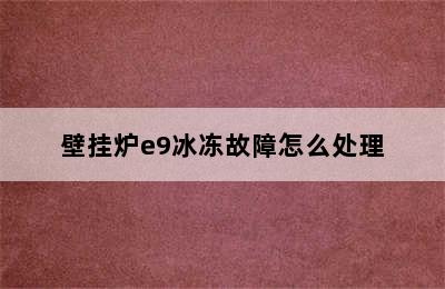 壁挂炉e9冰冻故障怎么处理