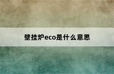 壁挂炉eco是什么意思