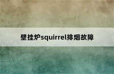 壁挂炉squirrel排烟故障