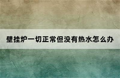 壁挂炉一切正常但没有热水怎么办