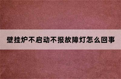 壁挂炉不启动不报故障灯怎么回事