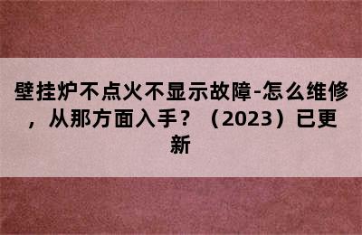 壁挂炉不点火不显示故障-怎么维修，从那方面入手？（2023）已更新