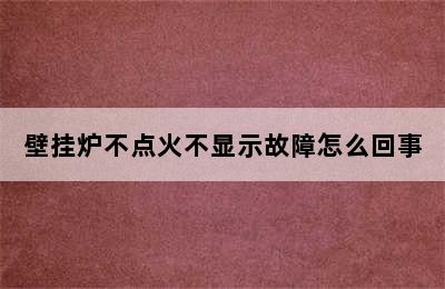 壁挂炉不点火不显示故障怎么回事