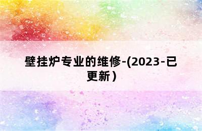 壁挂炉专业的维修-(2023-已更新）