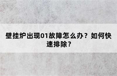 壁挂炉出现01故障怎么办？如何快速排除？