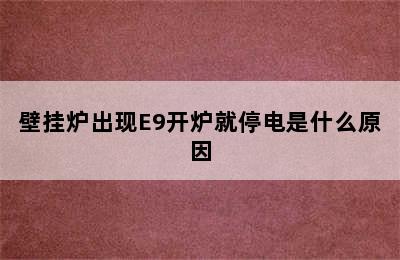 壁挂炉出现E9开炉就停电是什么原因