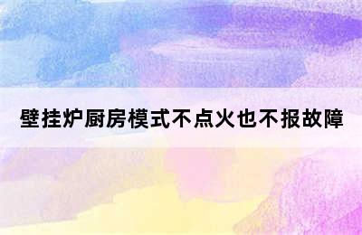 壁挂炉厨房模式不点火也不报故障