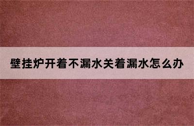 壁挂炉开着不漏水关着漏水怎么办