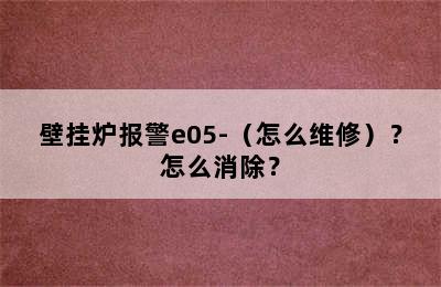 壁挂炉报警e05-（怎么维修）？怎么消除？