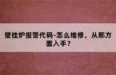 壁挂炉报警代码-怎么维修，从那方面入手？