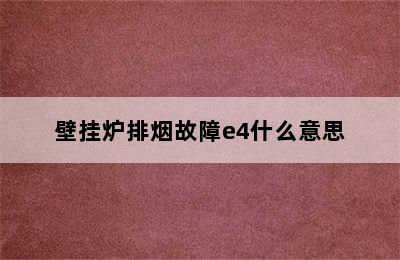 壁挂炉排烟故障e4什么意思