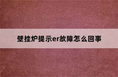 壁挂炉提示er故障怎么回事