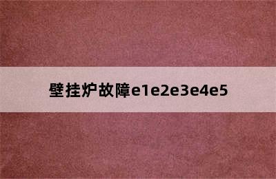 壁挂炉故障e1e2e3e4e5