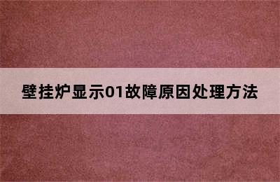 壁挂炉显示01故障原因处理方法