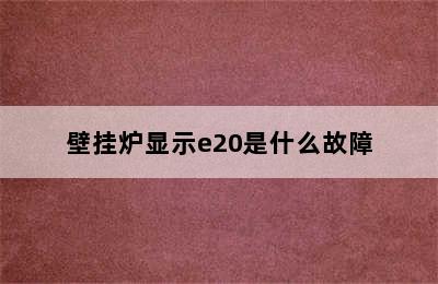 壁挂炉显示e20是什么故障