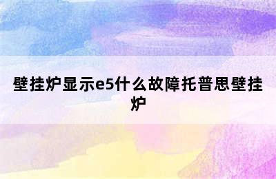 壁挂炉显示e5什么故障托普思壁挂炉