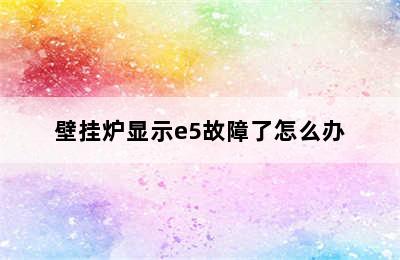 壁挂炉显示e5故障了怎么办