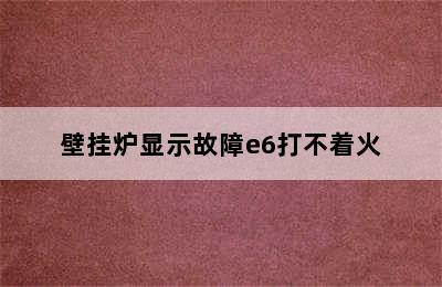 壁挂炉显示故障e6打不着火