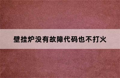 壁挂炉没有故障代码也不打火