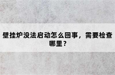 壁挂炉没法启动怎么回事，需要检查哪里？